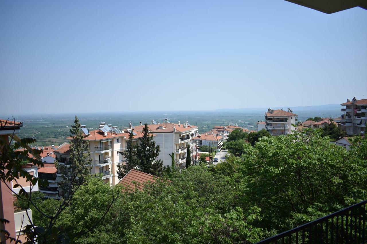 Small Apartment, Great View! Veria  Bagian luar foto